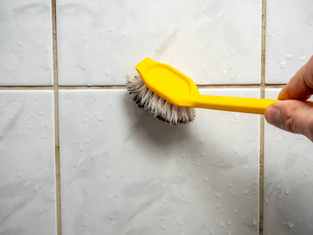 Home Mold Removal in Edmonds, WA